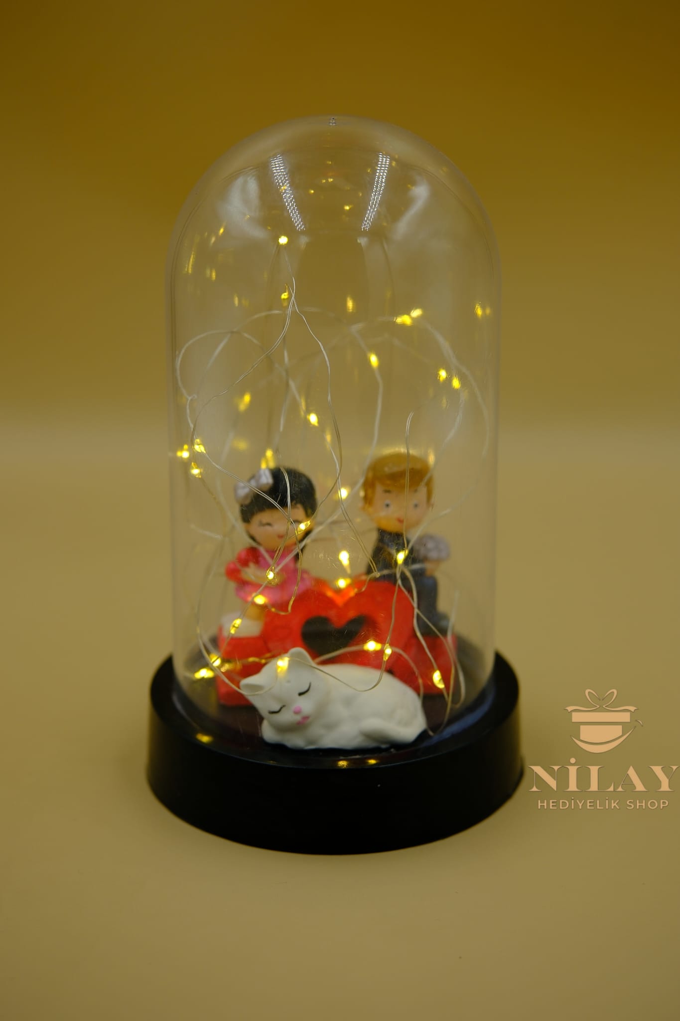 Fanus İçinde Ledli Sevgili Çift