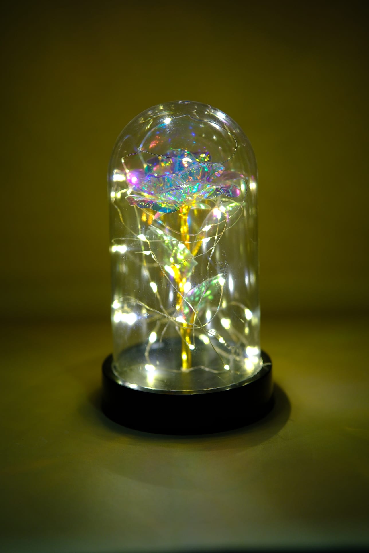 Ledli Fanus İçinde Beyaz Renk Sonsuz Gül