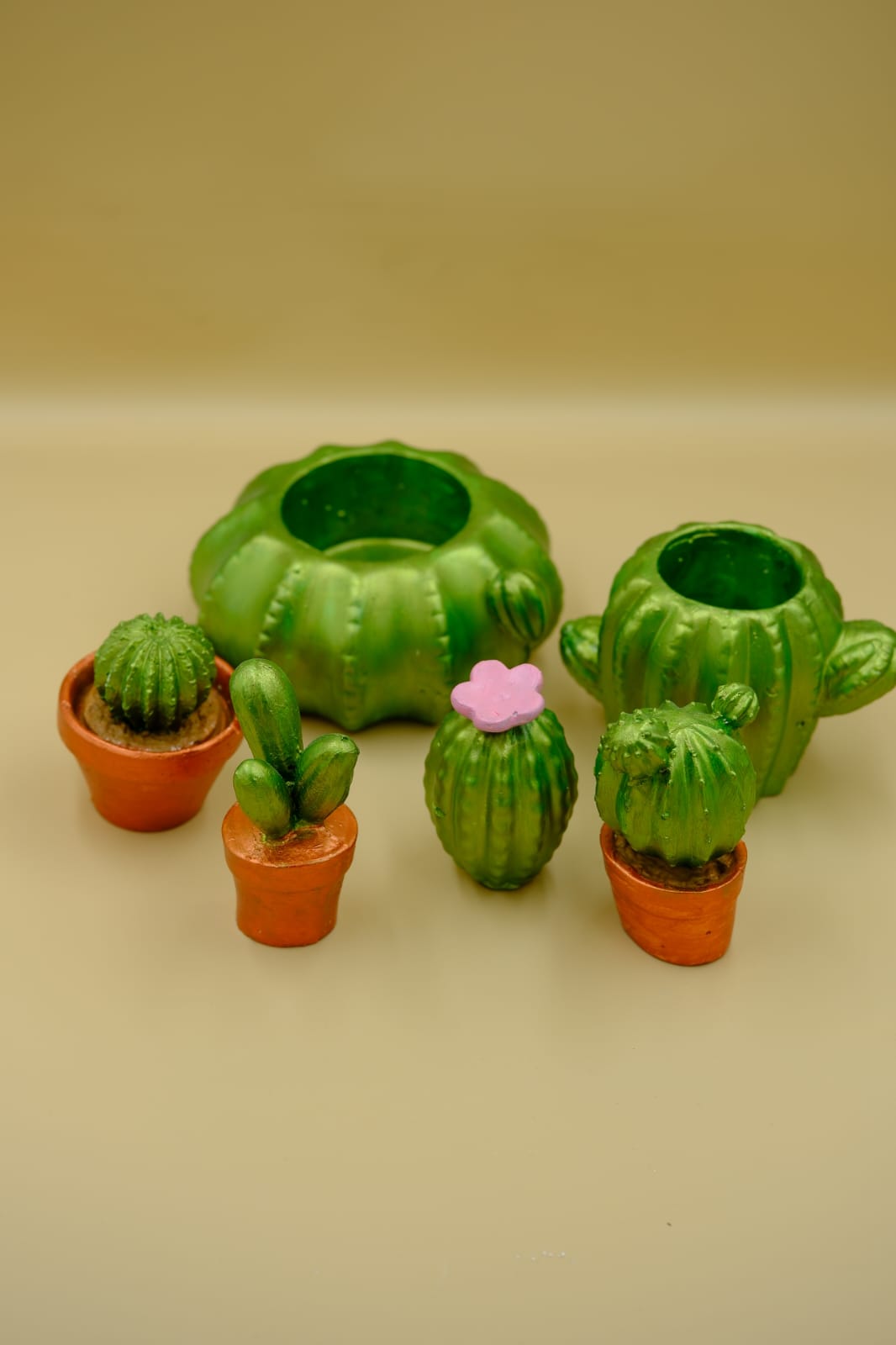Dekoratif Çok Amaçlı Kaktüs Set