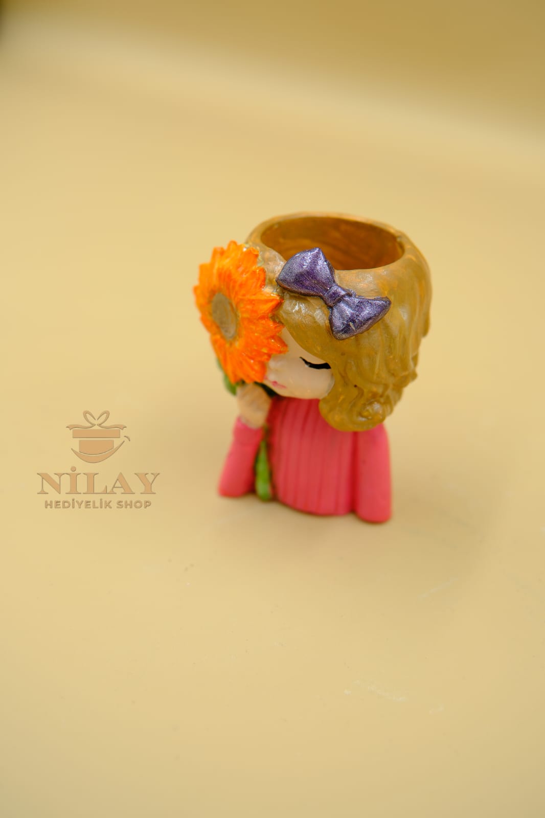 Papatyalı Kız Mini Saksı