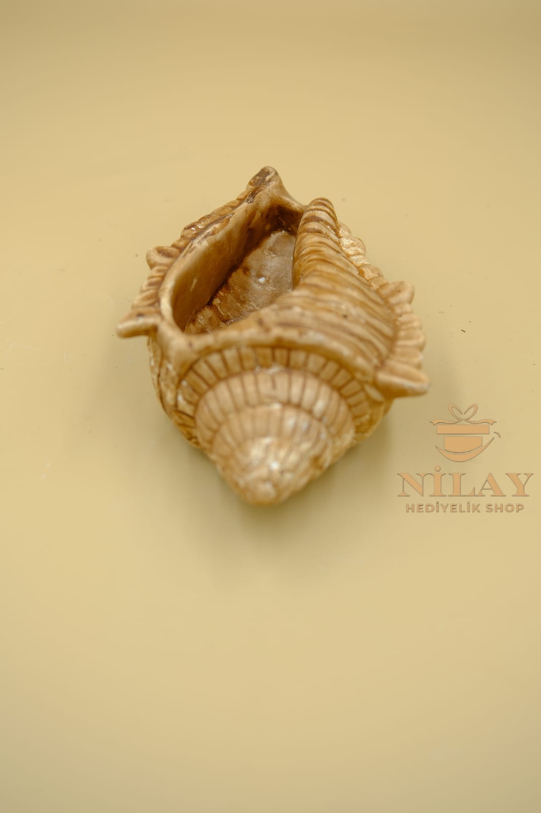 Deniz Kabuğu Mini Saksı