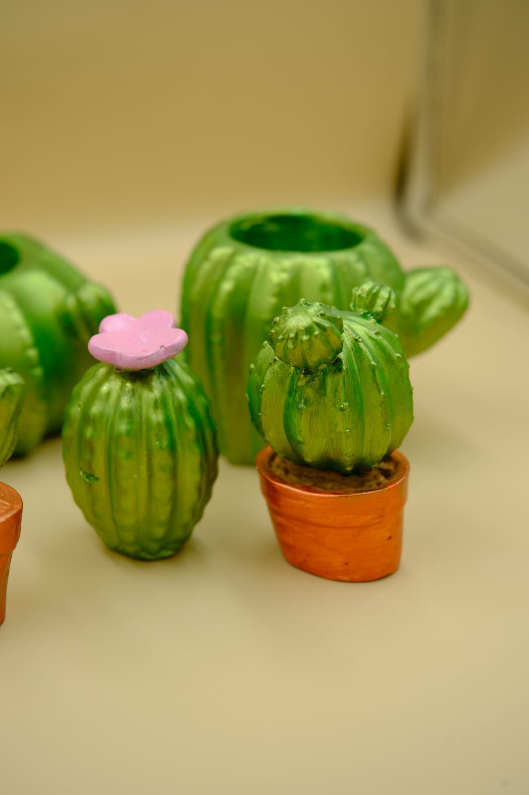 Dekoratif Çok Amaçlı Kaktüs Set