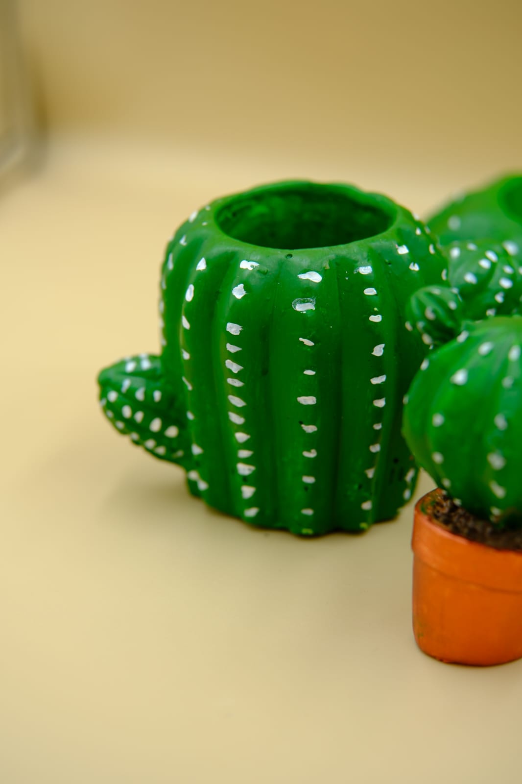 Dekoratif Çok Amaçlı Kaktüs Set