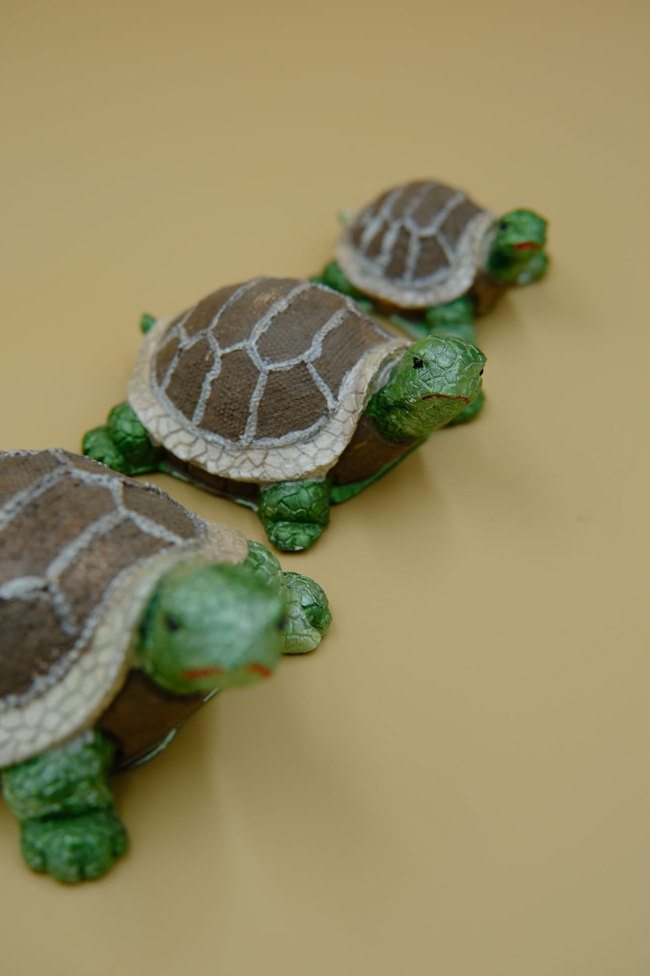 Üçlü Kaplumbağa Set
